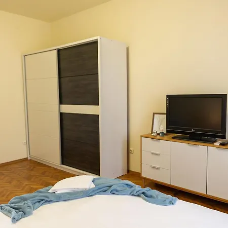 Central Apartment Apartment Timisoara