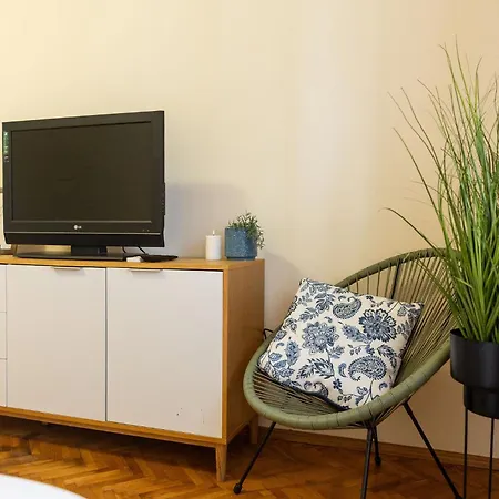 Central Apartment * Timisoara