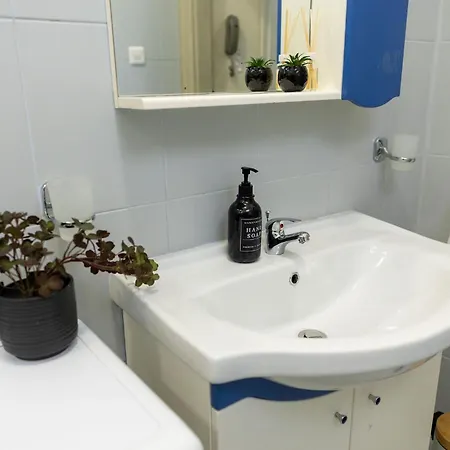 Central Apartment Timisoara