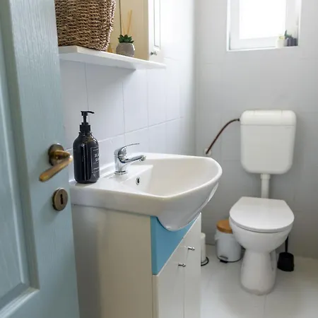 Central Apartment Apartment Timisoara
